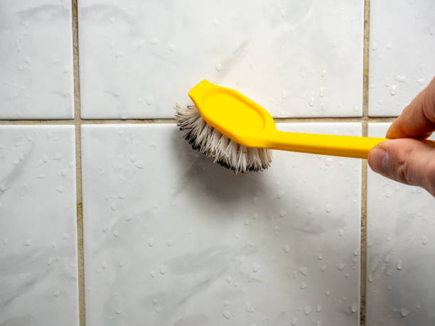 Best Post-Remediation Services in Wellston, MO