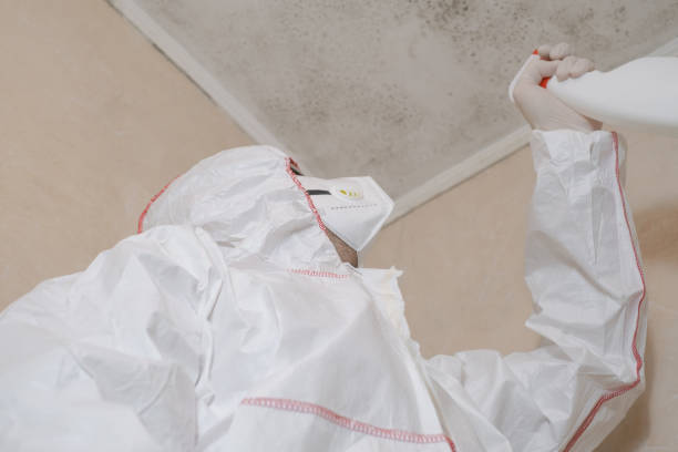 Best Crawl Space Mold Remediation in Wellston, MO